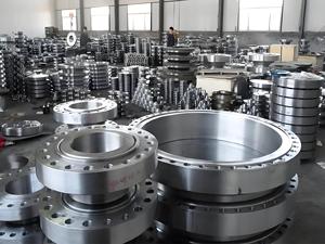 China Fabrik ANSI CE DN80 DN15 DN25 DN50 Pn16 316L RF geschmiedeter Edelstahl platten flansch