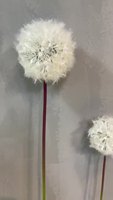 Arrangement floral de salle de mariage H-748 fleurs décoratives Faux blanc géant belle fleur de pissenlit artificielle
