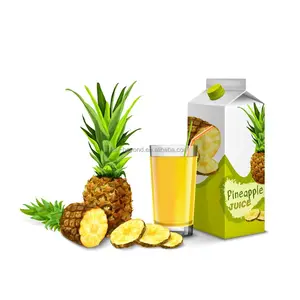 Automatische Industriële Compleet Ananas Juicer Productielijn