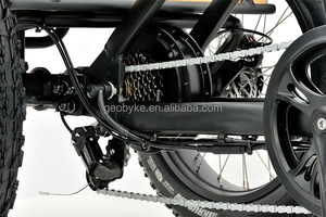 Vélo <span class=keywords><strong>cargo</strong></span> électrique à 3 roues avec batterie au lithium de 48V, capacité de 15Ah, cadre en aluminium, système de freinage à disque, <span class=keywords><strong>moteur</strong></span> de moyeu arrière - Product Image 6