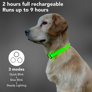 Collar de nailon elástico para mascotas fluorescente de alta visibilidad para caminar de noche - Product Image 3