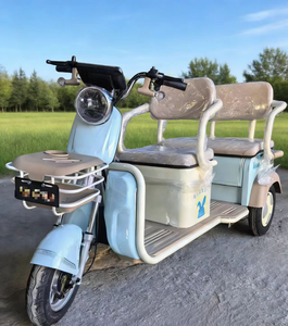 Triciclo de Acero de Tres Ruedas para Adultos, 48V, con Motor sin Escobillas de 3 Velocidades, Alcance de 60 km, Batería de Plomo-Ácido de 60 km, Apto para Personas Mayores - Product Image 2