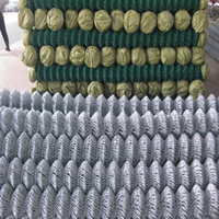 Malla de Alambre de Alta Calidad con Recubrimiento de Zinc, Antioxidante, para Cercas de Granjas Avícolas, Malla para Pollos, Malla para Granjas, Malla de Eslabones
