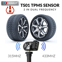 CGSULIT Newest TS01 TPMS Sensor Programmer Tool for NXP Chip Free Lifetime Tire Pressure Monitoring System