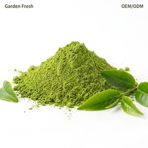 Matcha en Polvo Keto, Sin Azúcar, Cero Calorías, Superalimento para Smoothies y Batidos, Marca Privada, Venta al Por Mayor 7A - Product Image 1