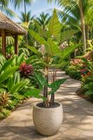 Arbre artificiel Alocasia à plusieurs troncs en pot, plante tropicale pour la décoration intérieure, hall d'hôtel, centre commercial, bureau, aménagement paysager, vente en gros