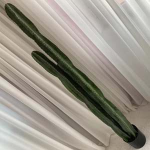 <span class=keywords><strong>Cactus</strong></span> Artificial para decoración interior y exterior, venta directa de fábrica - Product Image 4