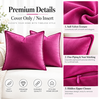 Housse de coussin en velours personnalisable (couleur et taille) pour la décoration intérieure, sans insert de coussin