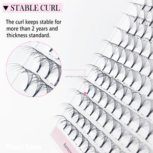 अल्ट्रा ब्लैक 3 डी 4 डी 5 डी 6 डी 8 0.07 8 डी 10d 0.07 शॉर्ट स्टेम लैश निजी लेबल पूर्वनिर्मित वॉल्यूम प्रशंसक पलक एक्सटेंशन एक्सटेंशन - Product Image 3