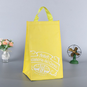 Non Woven Insulated Cooler Bag Food Storage Customizable Color Size With Aluminum Foil Lining For Takeaway - Product Image 3