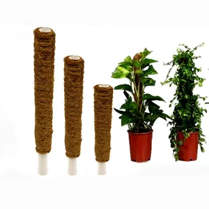 Courbe Super Bois Forêt Empilable 40cm Coir Plante Support Couleur Naturelle Pliable Moss Pole