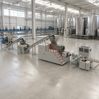 Machine de fabrication de savon automatique domestique en acier inoxydable pour petits hôtels, ligne de production, machine de découpe de savon, machine de découpe de savon au soufre