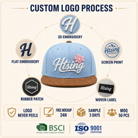 Casquette de baseball personnalisée bleu ciel à visière plate, 6 panneaux, snapback, visière en daim brodée de fleurs, chapeau ajustable, vente en gros, OEM, faible MOQ