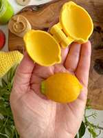 Moules en plastique imprimés en 3D pour la cuisson au four, série fruits (citron, banane, fraise, poire), 4 pièces, pour la préparation de sandwichs