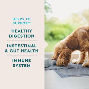 Campione Gratuito Aiuta a Alleviare lo Stomaco Disturbato, Integratori per la Salute degli Animali Domestici, Probiotici per Cani per la Salute della Digestione - Product Image 2