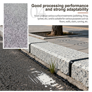 नए सफेद तिल ग्रेनाइट टिकाऊ और पहनने के लिए प्रतिरोधी तिल सफेद ग्रेनाइट - Product Image 6