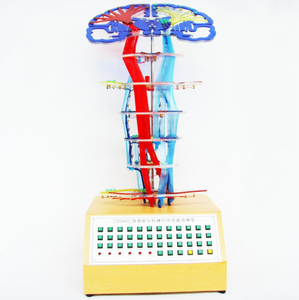 Modèle électrique de réflexes et de blessures de la colonne vertébrale Gelsonlab HSEM-013 - Product Image 3