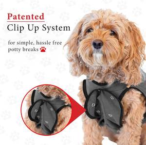 Ropa Postoperatoria para Perros y Gatos, Pantalones Teddy para Golden Retriever y <span class=keywords><strong>Schnauzer</strong></span>, Todas las Temporadas, Europa, Éxito de Ventas Transfronterizo - Product Image 4