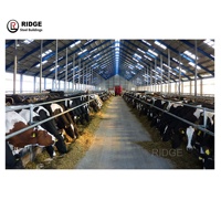 Structure en acier pour abri de bétail, bâtiment agricole préfabriqué en acier, écurie pour chevaux, conception d'abri pour bétail