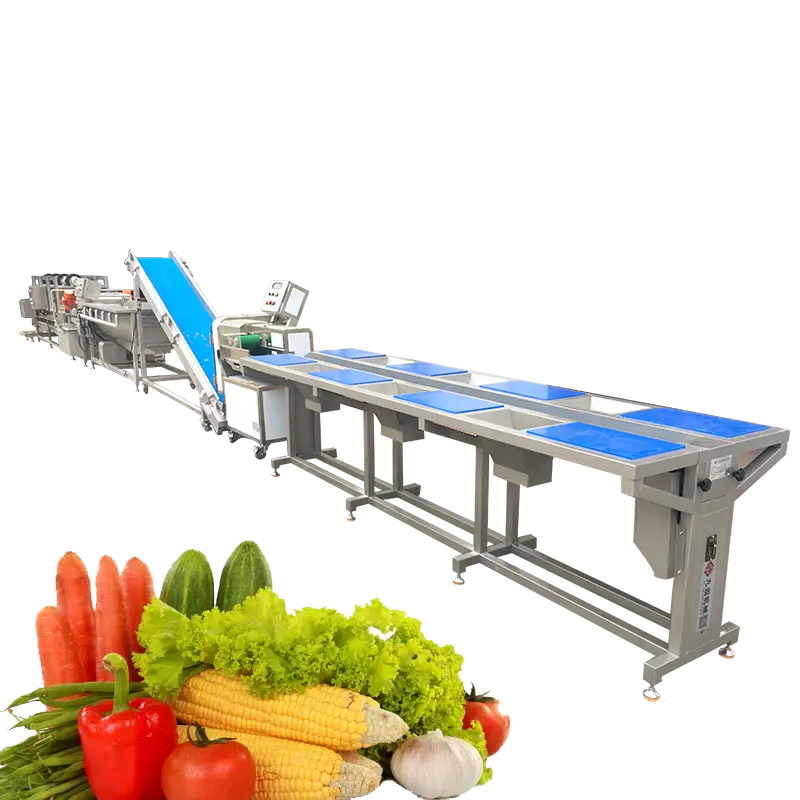 Linea di produzione di verdure prefabbricata automatica di attrezzature per la lavorazione continua delle verdure macchine per la lavorazione di ortaggi selvatici