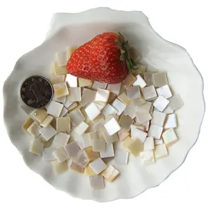 DIY Materials Shell Mosaic Mini Loose Grain Creative Handicrafts Shell Jewelry Square Rectangle Circle Heart