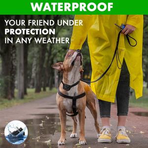 <span class=keywords><strong>2025</strong></span> nuevo <span class=keywords><strong>collar</strong></span> inteligente recargable sin ladridos sensibilidad ajustable dejar de ladrar <span class=keywords><strong>collar</strong></span> de entrenamiento para perros - Product Image 6