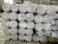 Cuerda de Polietileno Duradera con Certificación ISO9001, Cuerda de Pesca Trenzada de PE Duro Monofilamento HDPE Amarillo Dorado