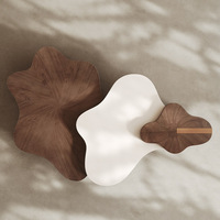 Ensemble de table basse en marbre de style italien, design moderne, multifonctionnel, avec rangement, meubles de salon