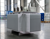 Transformateur de puissance triphasé industriel à bain d'huile, MT&HT 11kV 33kV, 30kVA-3150kVA, S11 S15 Économie d'énergie