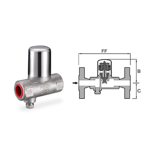 Piège à vapeur horizontal bimétallique en acier inoxydable TSB73 SS304/316 avec filetage NPT/BSPT et joint en graphite - Product Image 2