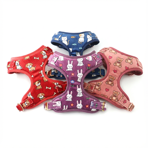 Conjunto de Arnés de Lujo para Perro de Terciopelo Kawaii con Correa a Juego, Impresión de Patrones Personalizados, Ajuste Ajustable, Clip de Metal Resistente - Product Image 4