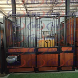 OEM toptan açık at kutusu at tezgahları avrupa tarzı Stables ekonomik at at Stables çin sağlanan <span class=keywords><strong>2</strong></span> yıl - Product Image 2