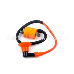 Transformador de Alto Voltaje para Motocicletas, Vehículos Todoterreno, Autos de Carreras, Anti-Fugas, Reforzado, Bocina de Encendido, Transformadores de Media y Alta Tensión - Product Image 5