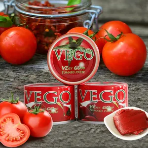 Pâte de tomate de qualité supérieure 70g-Un éclat de saveur pour vos plats