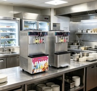 Restaurantgebruik driekoppige soft serve ijsmachine met roestvrijstalen behuizing, elektrische ijsbereidingsmachine