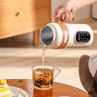 Bouilloire électrique portable de 600 ml en acier inoxydable, tasse à eau de voyage avec fonction de chauffage, petite et pratique pour une utilisation en déplacement