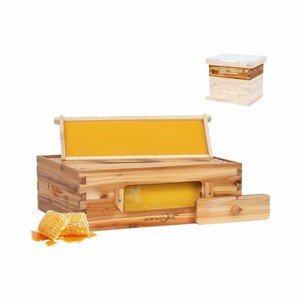 Hoàn Thành jubinatural tổ ong <span class=keywords><strong>Kit</strong></span> cho người mới bắt đầu 10-khung bằng gỗ BEE hộp làm tổ với 1 năm bảo hành cho trang trại sử dụng điều kiện mới - Product Image 6