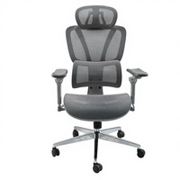 Chaise de bureau ergonomique en maille à commande filaire avec soutien lombaire réglable, accoudoirs réglables, design pivotant et base chromée pour bureau