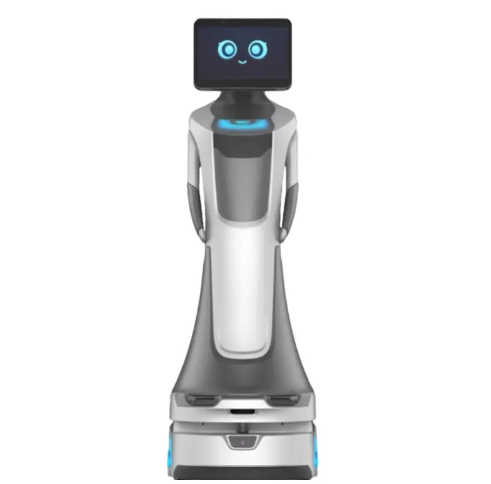 Large-screen Interactive Intelligent Service Robot for Hotel Reception, Explanation and Dialogue