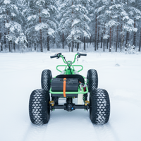 Kart électrique 48V 500W pour la course, le drift et la piste, charge maximale : 300 kg, conçu pour les pistes de jardin et les courses en plein air