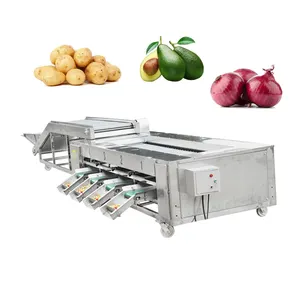Automatización de la máquina de clasificación de patatas máquina de clasificación de aguacate máquina de clasificación de patatas 2000-4000 kg/h