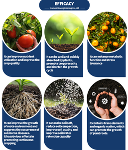 Fertilizante líquido de aminoácidos orgánicos tipo <span class=keywords><strong>NPK</strong></span> para fertilizante <span class=keywords><strong>foliar</strong></span> de suelo y agricultura - Product Image 4
