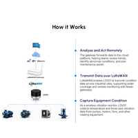 Sensor pemantau getaran & suhu motor Lora, alarm nirkabel, pencatat data magnetik, akselerometer triaksial, pengukur getaran