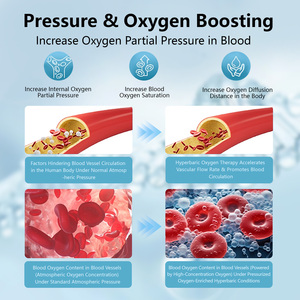 Pro Gamer <strong>Cognitive</strong> Performance Pod Portable Hyperbaric Chamber 1.5ATA 95% Oxygen <strong>for</strong> Focus and Eye Strain Wellness CE ISO RoHS - Product Image 6