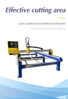 Machine de découpe plasma CNC à flamme détachable pour bureau avec moteur pas à pas, modèle DT1530 personnalisable pour la découpe industrielle du métal