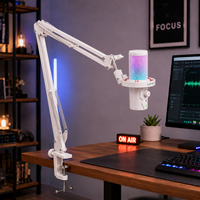 Micrófono USB Tipo-C para Computadora, Micrófono de Condensador con Brazo, Cancelación de Ruido, Iluminación RGB para Juegos de PC - Blanco (En Stock)