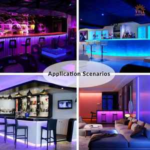 Cob RGB CCT <span class=keywords><strong>LED</strong></span>-lichtsnoeren 24V 576LED 8MM/10MM breed Afstandsbediening CE&RoHS gecertificeerd Slimme stripverlichting - Product Image 6