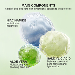 Solución para la piel grasa sensible Crema reparadora del acné Niacinamida Ácido salicílico Tratamiento calmante antimanchas Glicerina Aloe Vera - Product Image 4