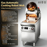 SEMIKRON Machine à Frire Commerciale Automatique Rotative à 360 Degrés en Acier Inoxydable, Luxe, Gaz et Électrique, avec Minuteur et Démarrage à une Touche