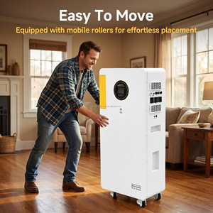 Inversor híbrido todo en uno de 6Kw 16Kwh con batería LiFePO4, controlador MPPT y sistema de energía solar de onda sinusoidal pura - Product Image 5